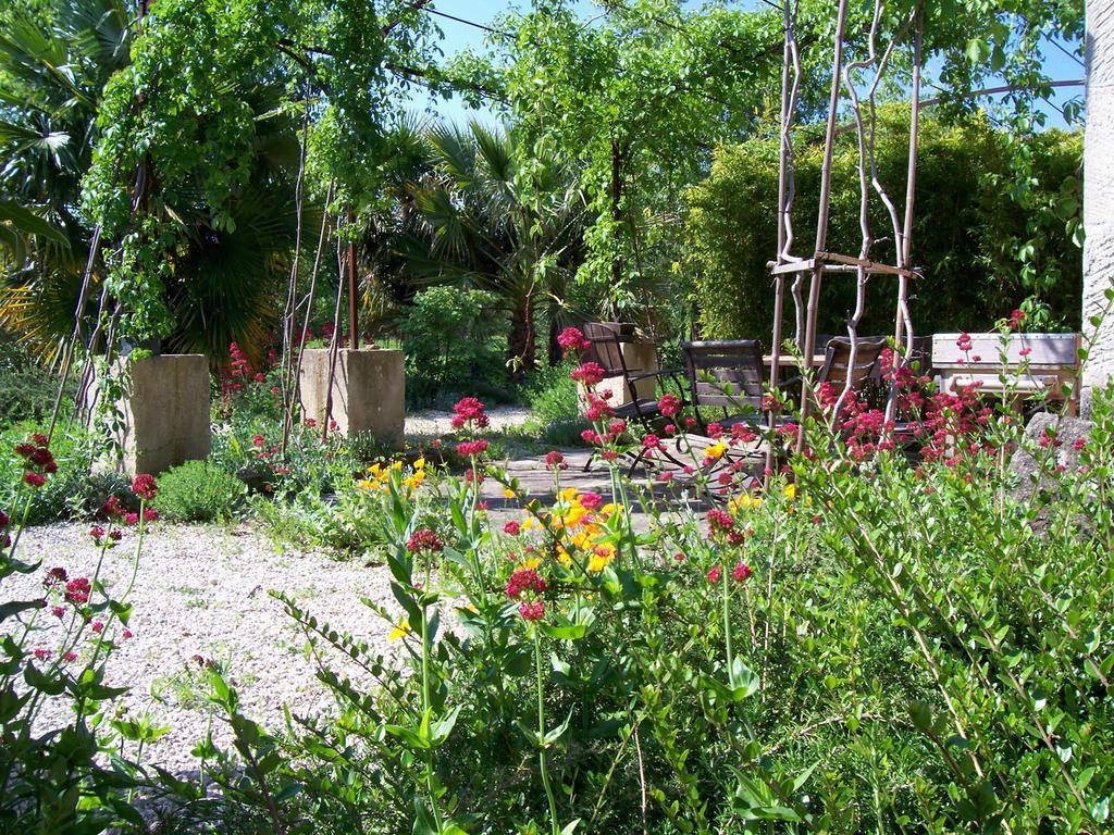 Le Mas De La Chouette Saint-Rémy-de-Provence Exterior foto