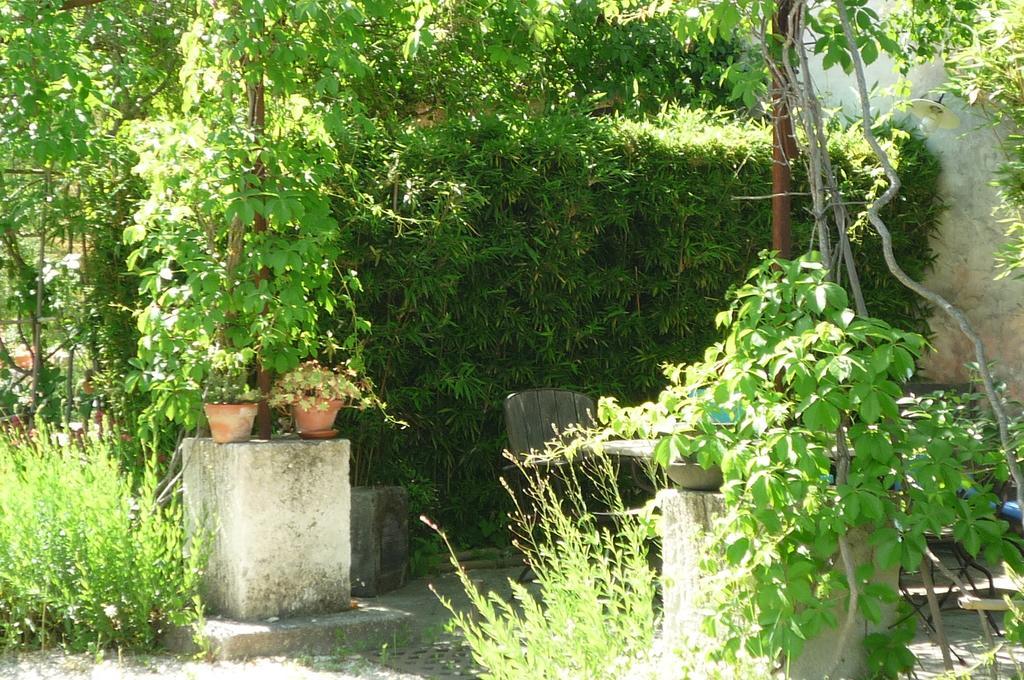 Le Mas De La Chouette Saint-Rémy-de-Provence Exterior foto